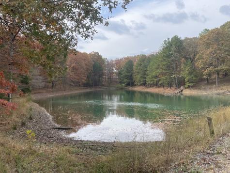 2203 Deer Lake Drive Nunnelly TN 37137