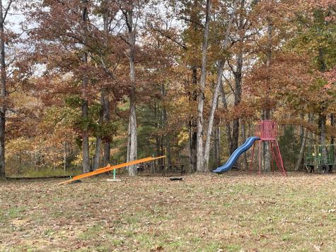 2203 Deer Lake Drive Nunnelly TN 37137
