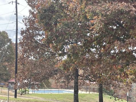 2203 Deer Lake Drive Nunnelly TN 37137