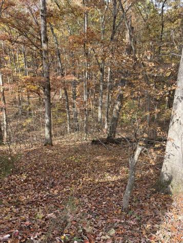 2203 Deer Lake Drive Nunnelly TN 37137