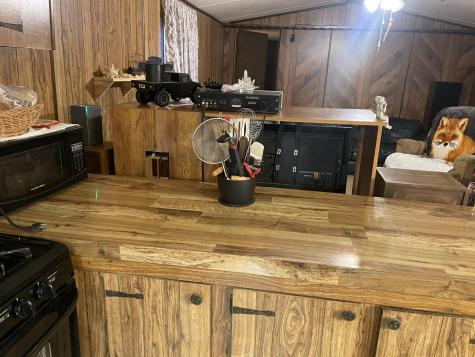 2203 Deer Lake Drive Nunnelly TN 37137