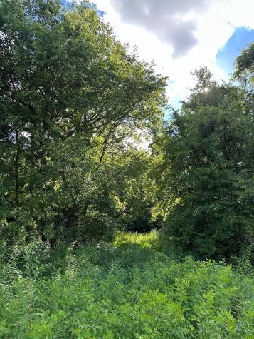 14 Battle Creek Road South Pittsburg TN 37380