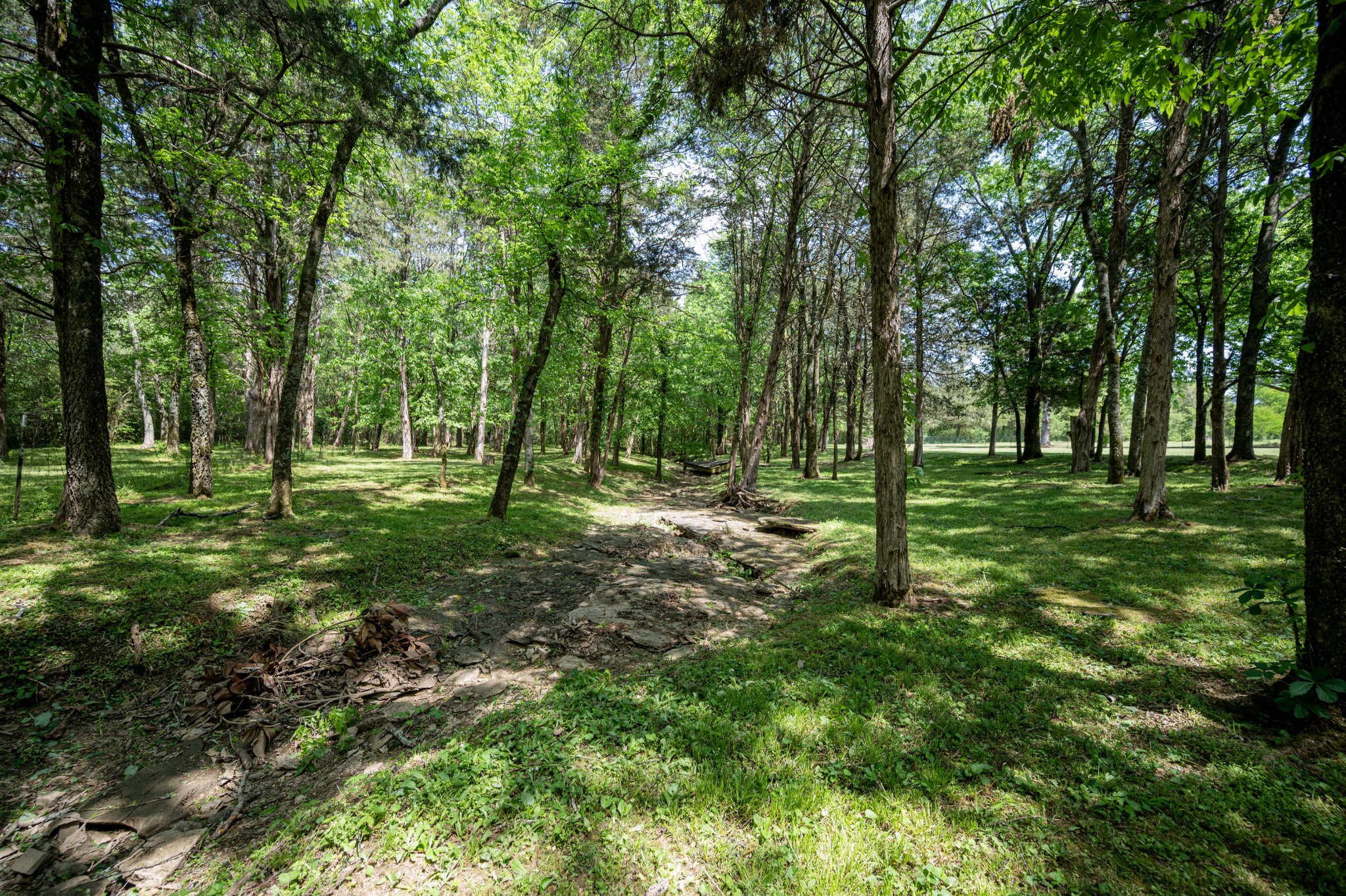 109 Fentress Court Rockvale TN 37153