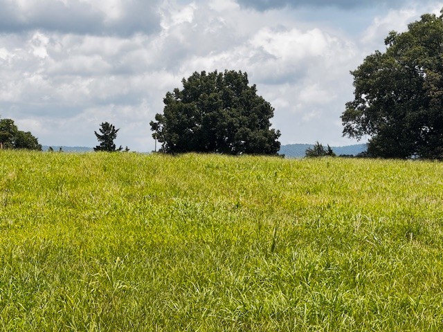 0 Old Holders Cove Road Winchester TN 37398