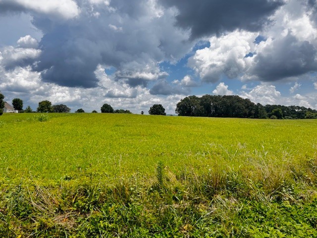 0 Old Holders Cove Road Winchester TN 37398