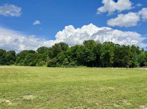 0 Cordova Cove Savannah TN 38372