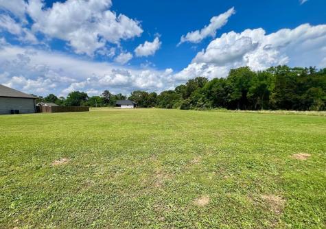 0 Cordova Cove Savannah TN 38372