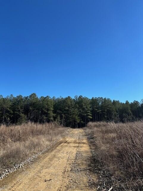 3 50th Avenue Gruetli Laager TN 37339