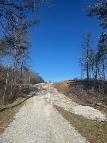 3 50th Avenue Gruetli Laager TN 37339