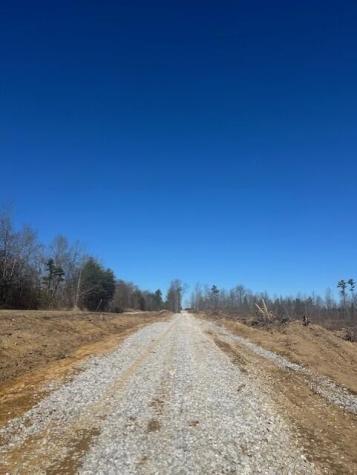 3 50th Avenue Gruetli Laager TN 37339