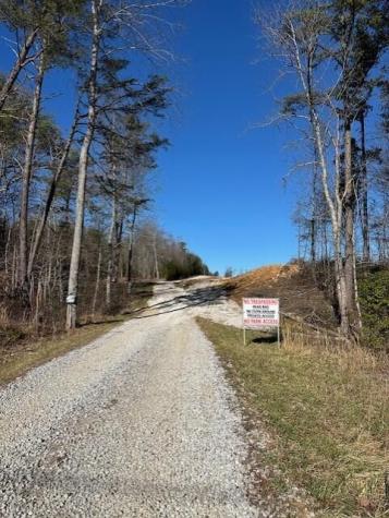 3 50th Avenue Gruetli Laager TN 37339