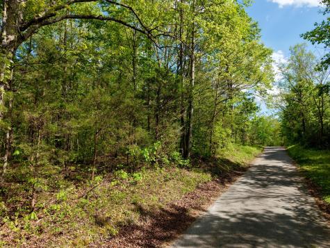 0 North Fork Road Whitleyville TN 38588