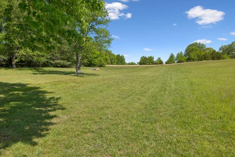6644 Highway 76, E Springfield TN 37172