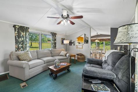 6644 Highway 76, E Springfield TN 37172