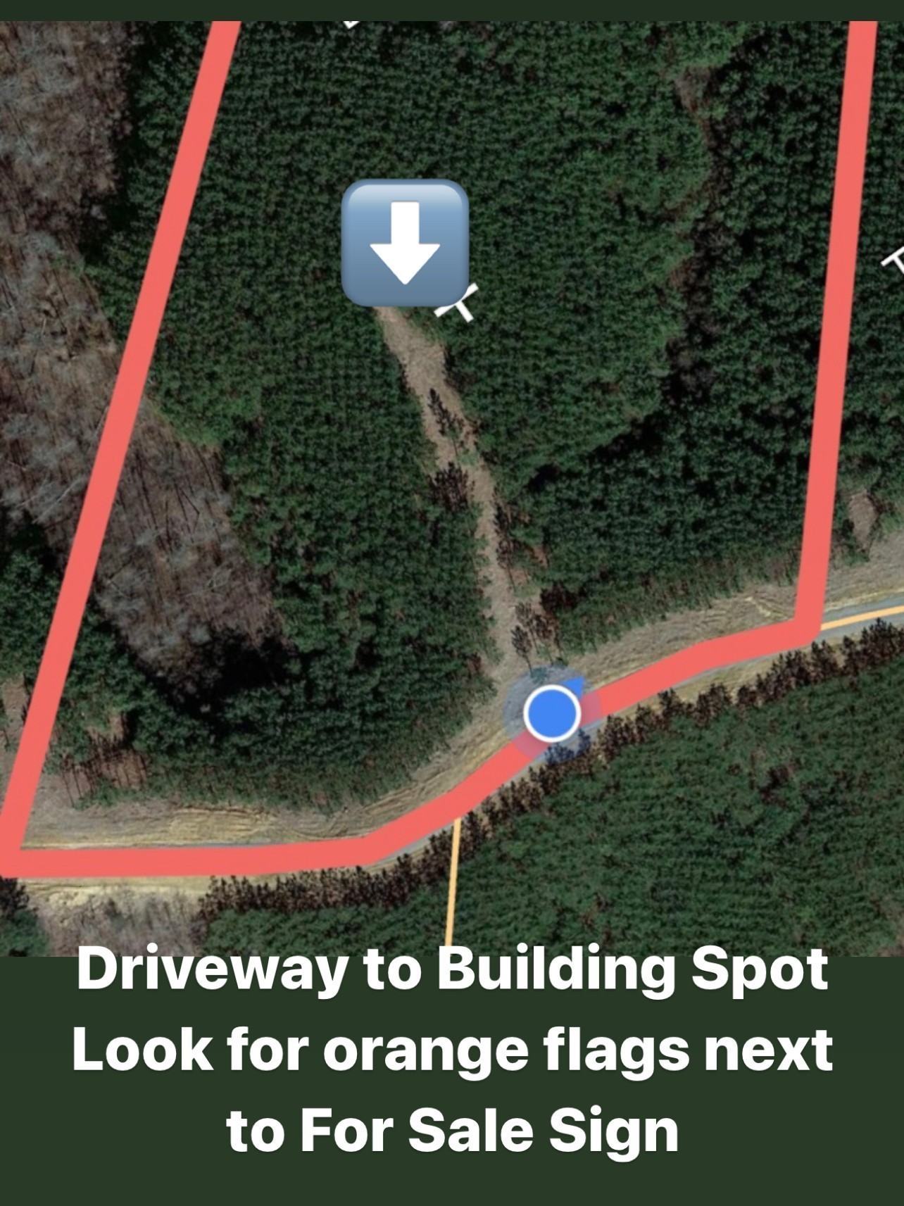 210 Ridgewood Drive Linden TN 37096