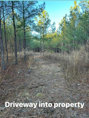 210 Ridgewood Drive Linden TN 37096