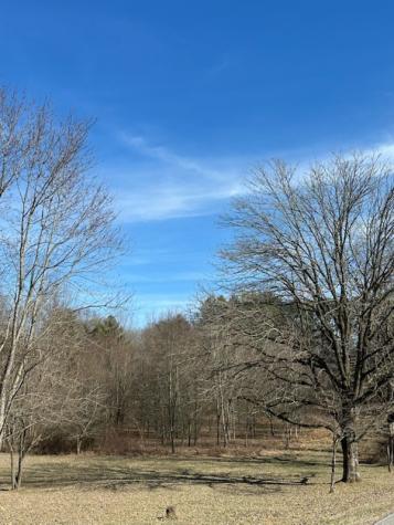 0 Raymond Hodges Road Cottontown TN 37048