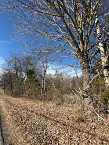 0 Raymond Hodges Road Cottontown TN 37048