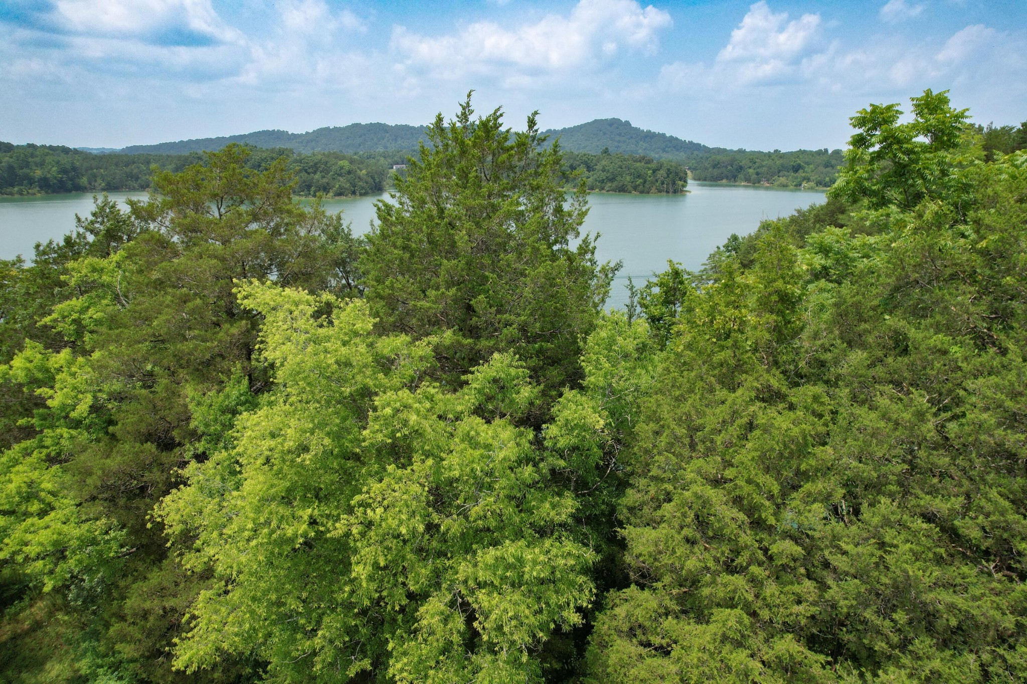 2751 Von Hill Road Dandridge TN 37725