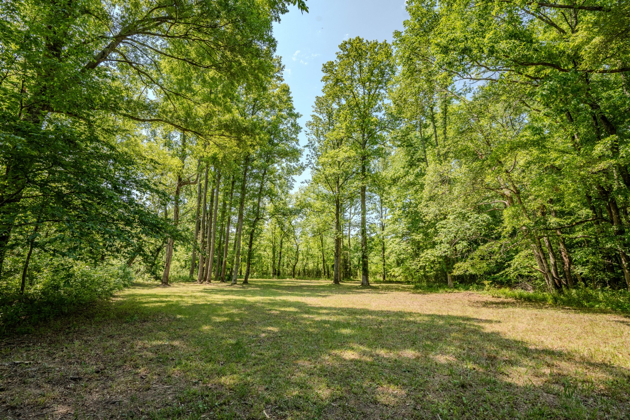 199 Liles Lane Lutts TN 38471