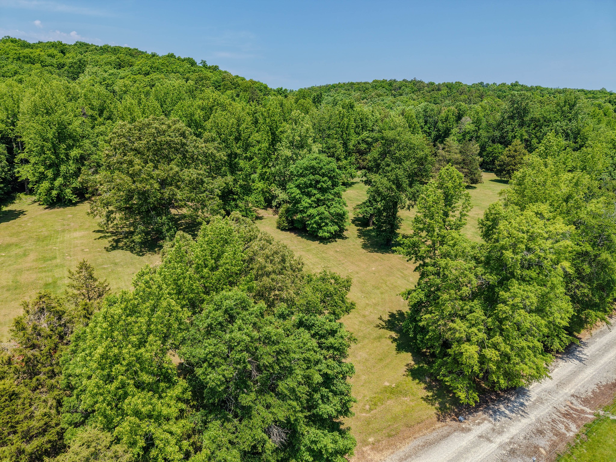 199 Liles Lane Lutts TN 38471