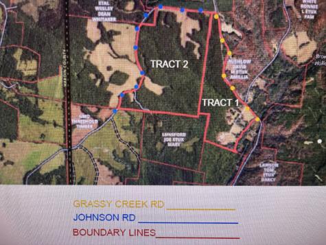 199 Liles Lane Lutts TN 38471