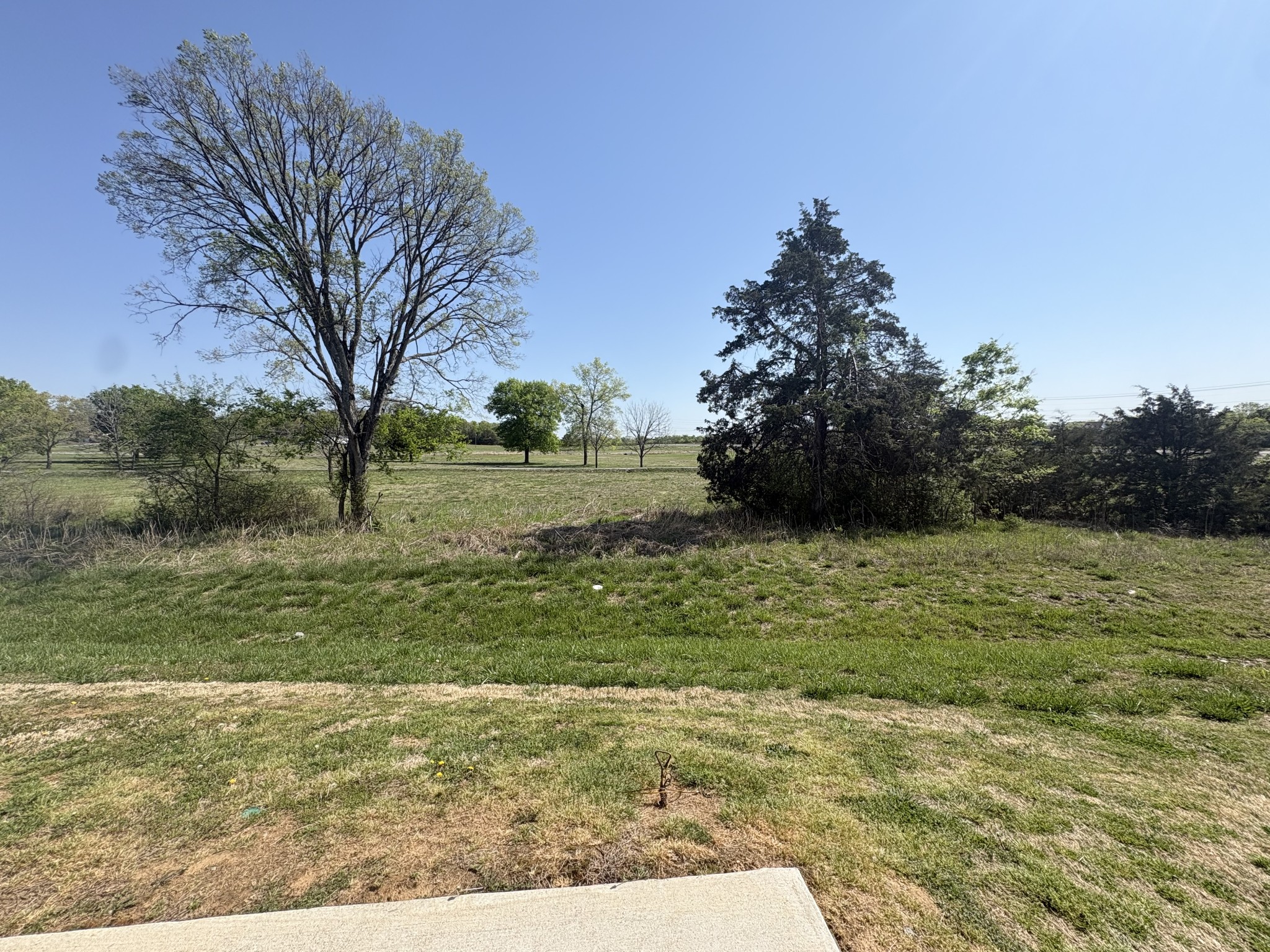 733 Lipizanner Lane Smyrna TN 37167