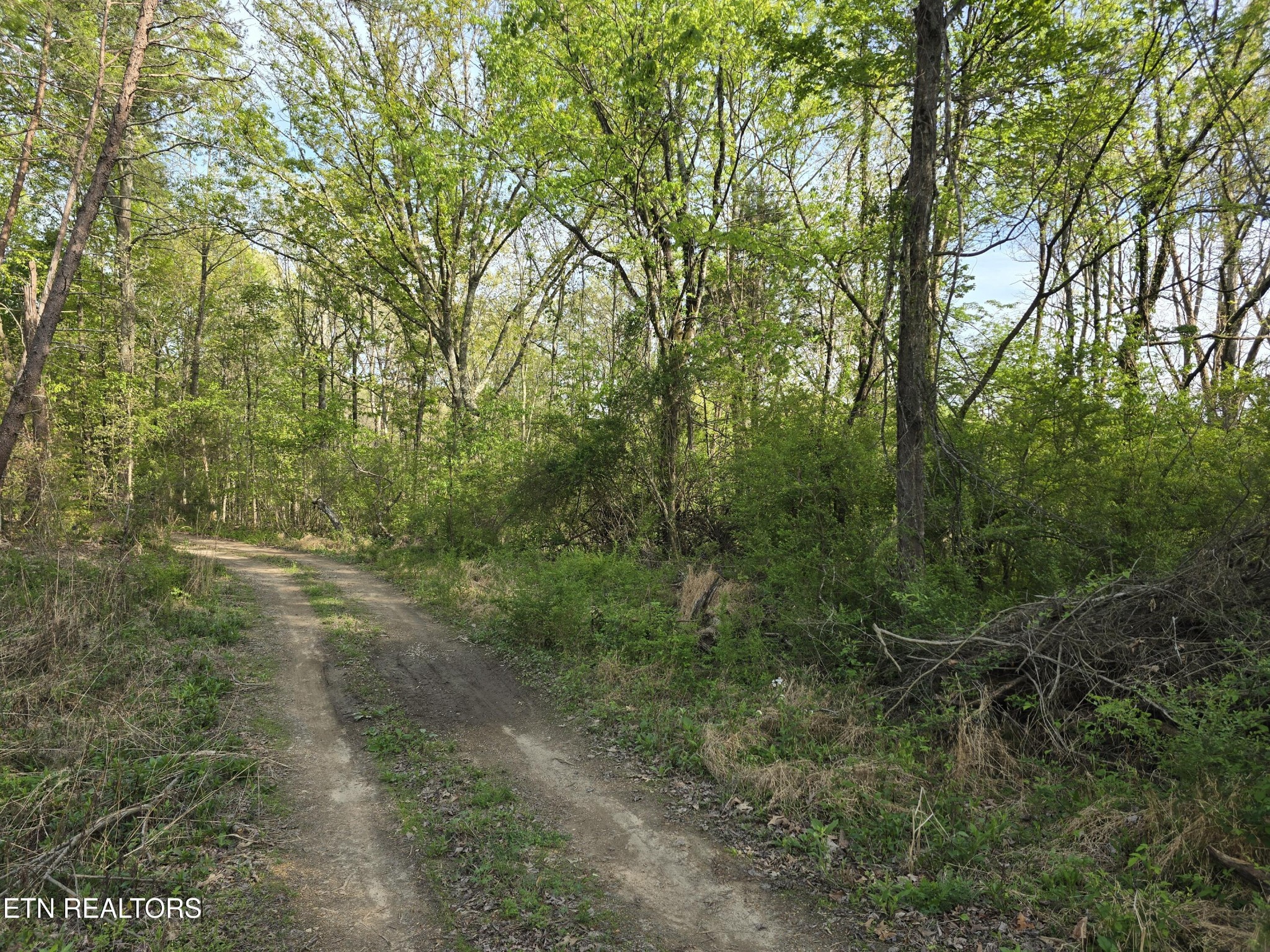 3697 Jackson Bend Road Lenoir City TN 37772