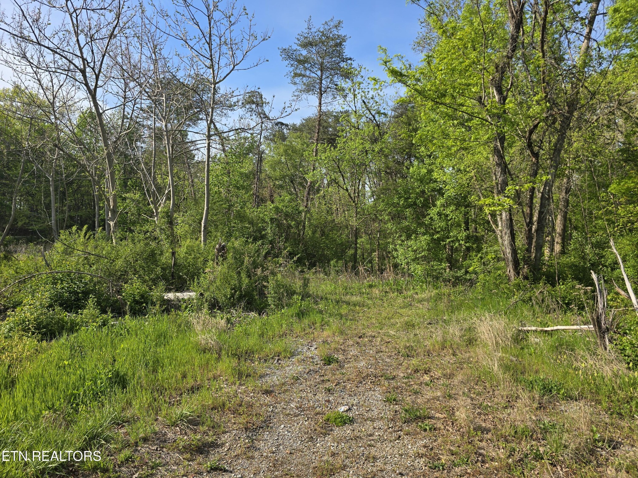 3697 Jackson Bend Road Lenoir City TN 37772