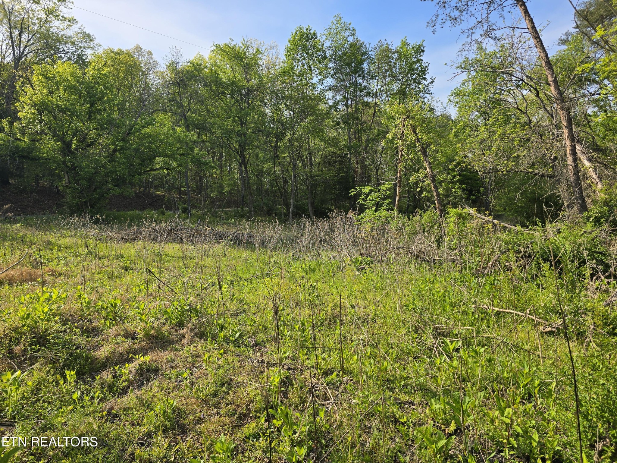 3697 Jackson Bend Road Lenoir City TN 37772