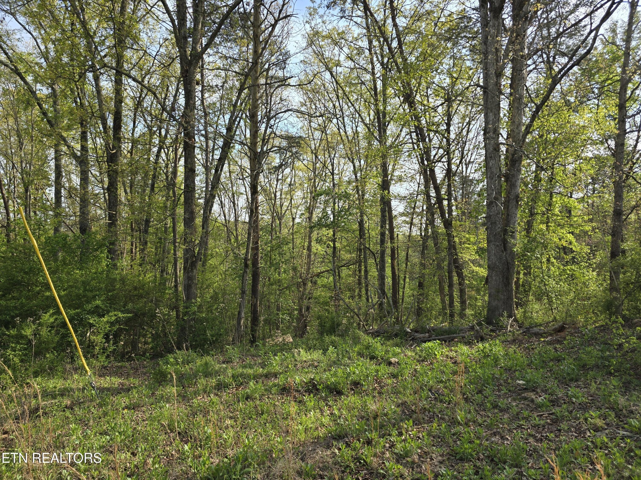 3697 Jackson Bend Road Lenoir City TN 37772