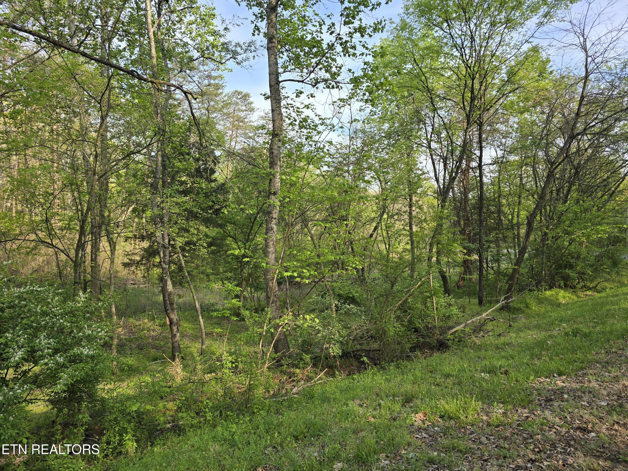 3697 Jackson Bend Road Lenoir City TN 37772