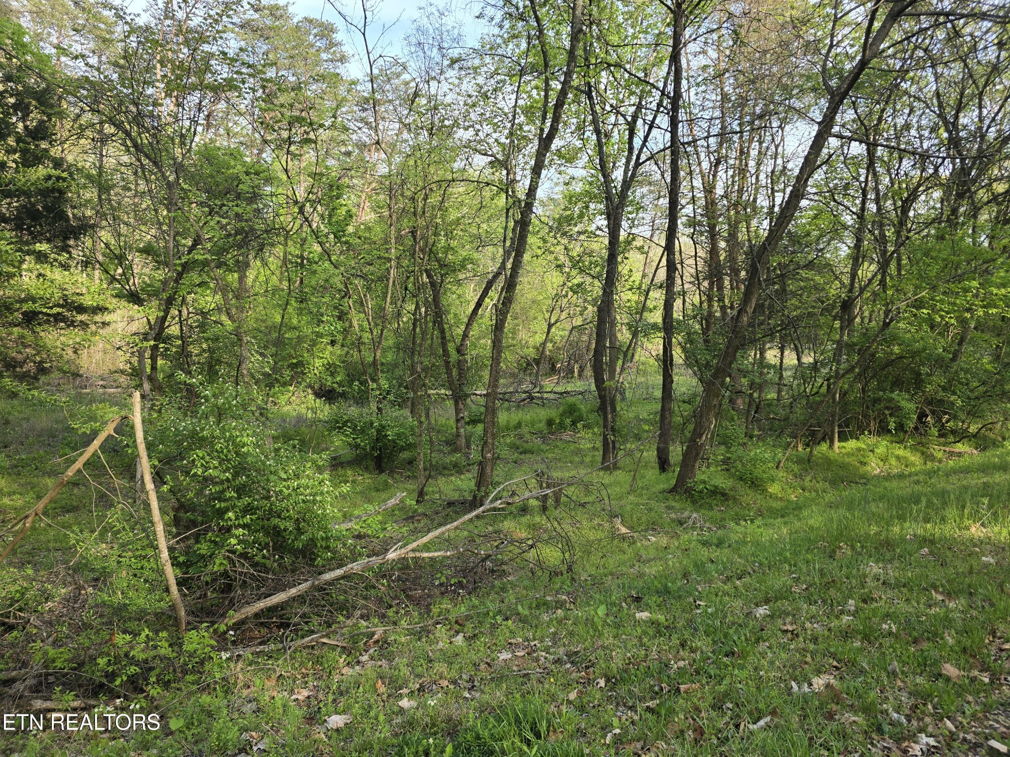 3697 Jackson Bend Road Lenoir City TN 37772