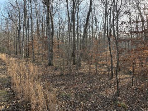 0 Harbour Park Lane Sparta TN 38583