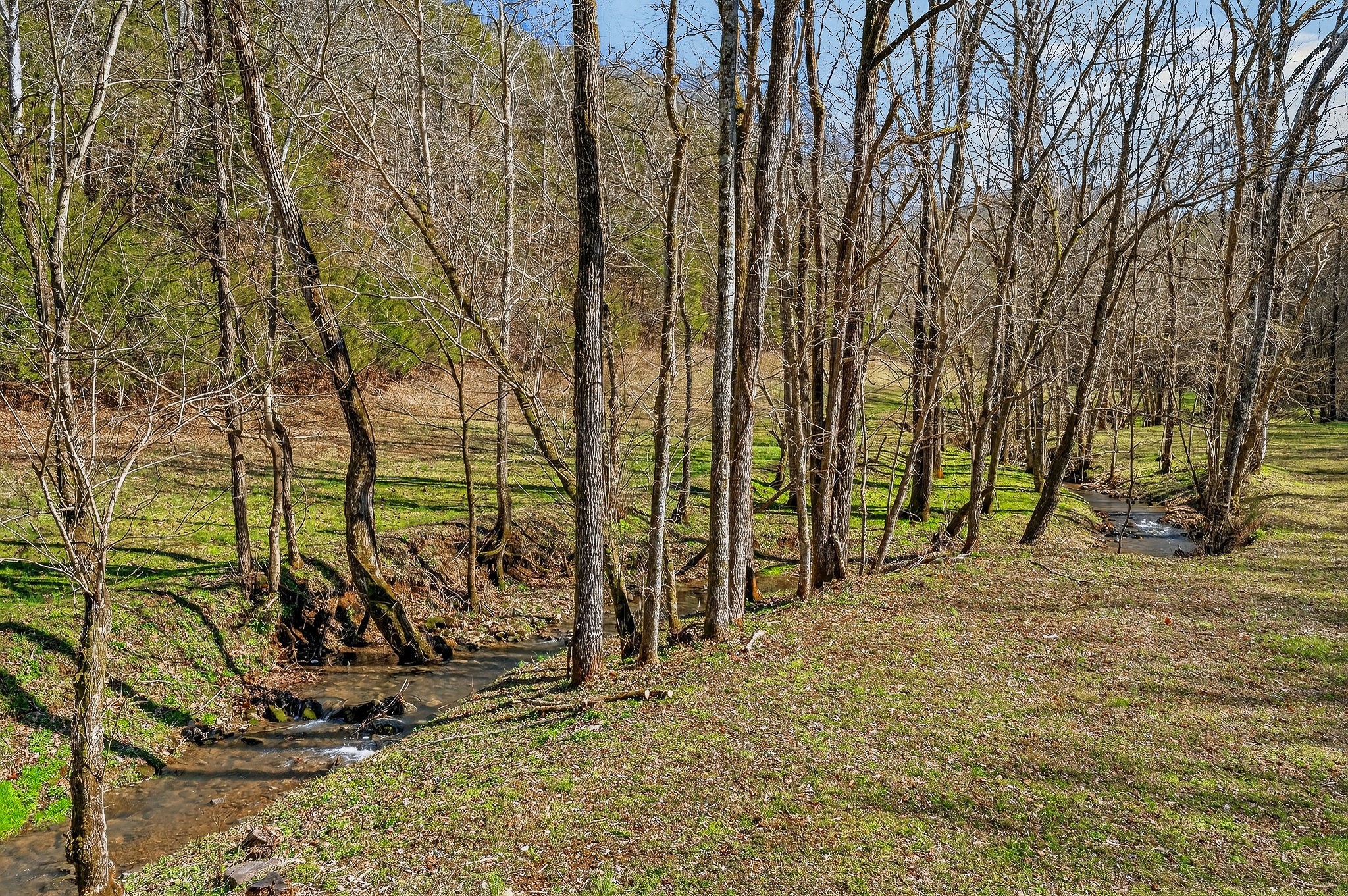 3331 Adamson Branch Road Liberty TN 37095