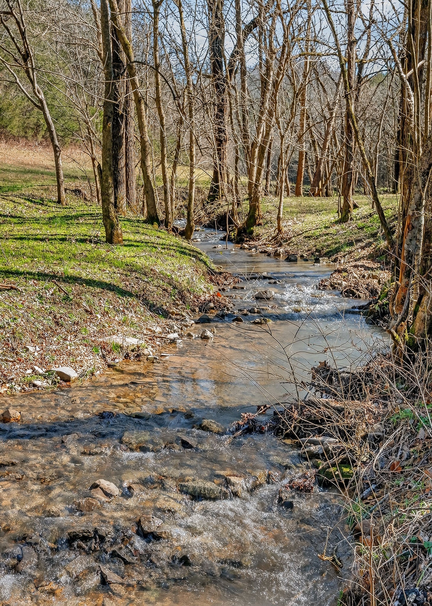 3331 Adamson Branch Road Liberty TN 37095