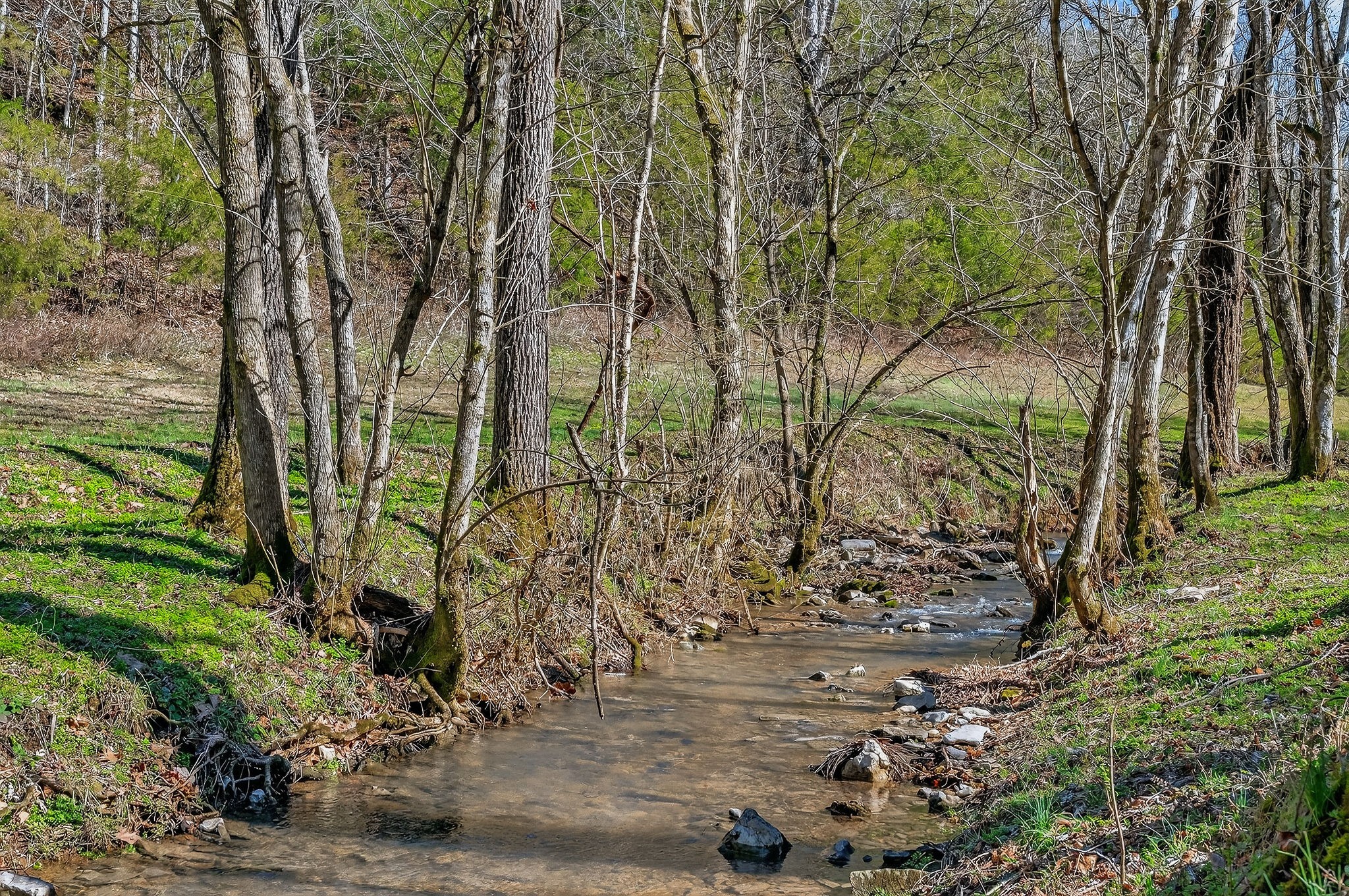 3331 Adamson Branch Road Liberty TN 37095