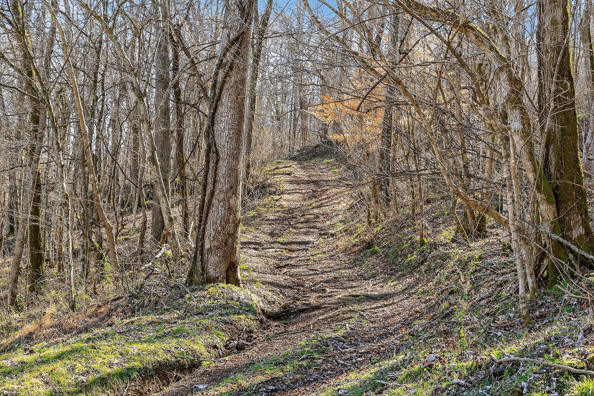 3331 Adamson Branch Road Liberty TN 37095