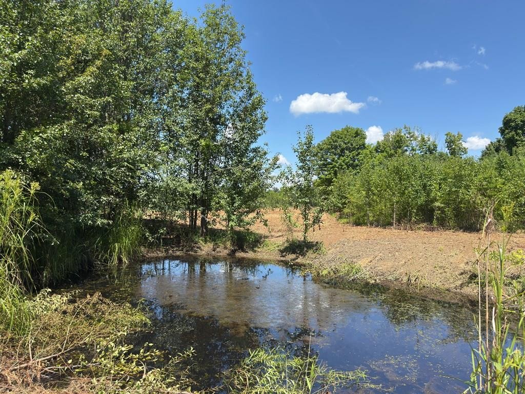 0 Marcrom Road Morrison TN 37357
