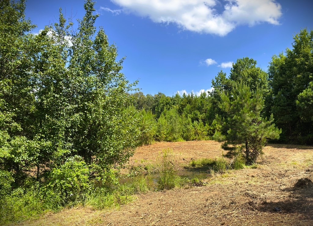 0 Marcrom Road Morrison TN 37357
