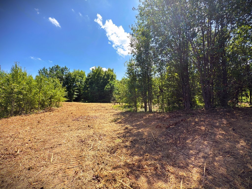0 Marcrom Road Morrison TN 37357