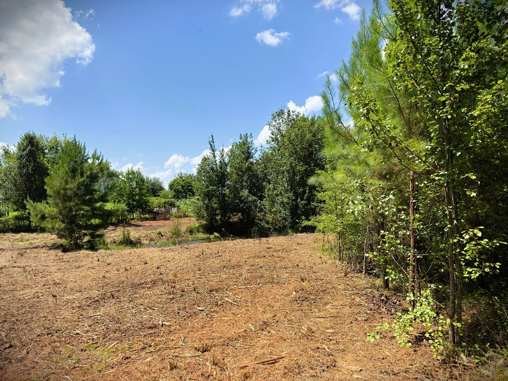 0 Marcrom Road Morrison TN 37357