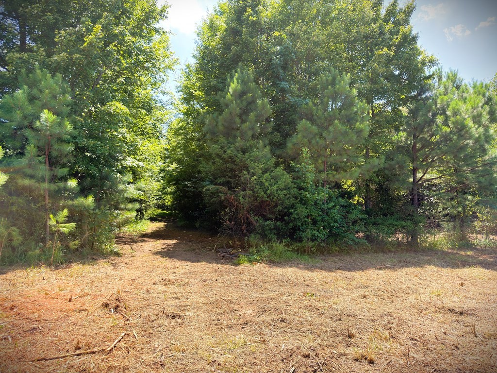 0 Marcrom Road Morrison TN 37357
