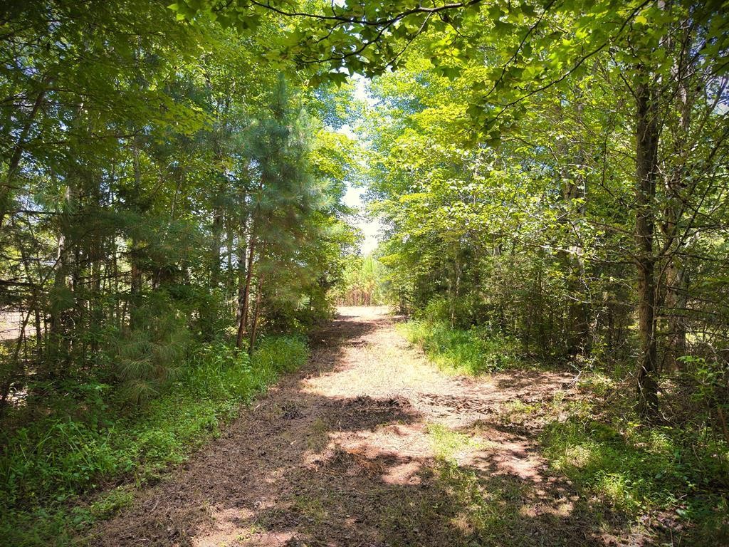 0 Marcrom Road Morrison TN 37357
