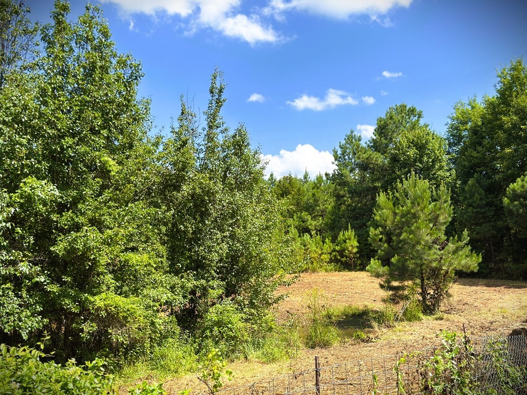 0 Marcrom Road Morrison TN 37357