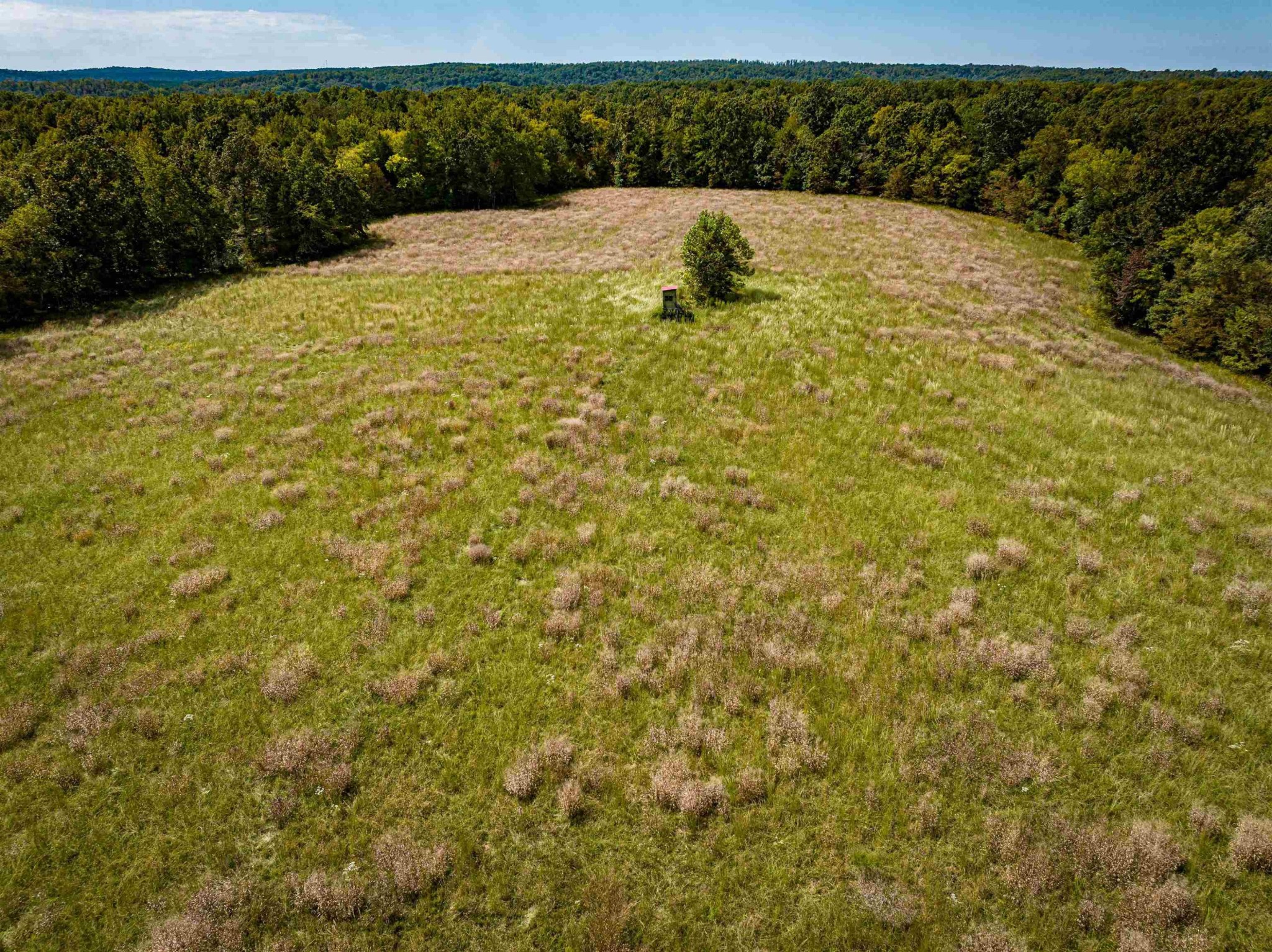 2642 Brodies Landing Road Parsons TN 38363