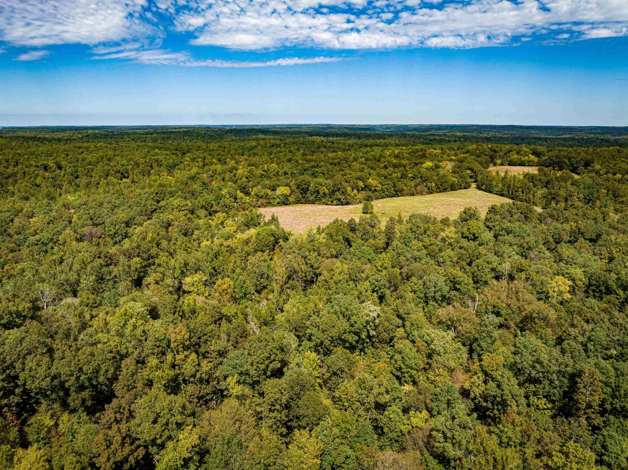 2642 Brodies Landing Road Parsons TN 38363