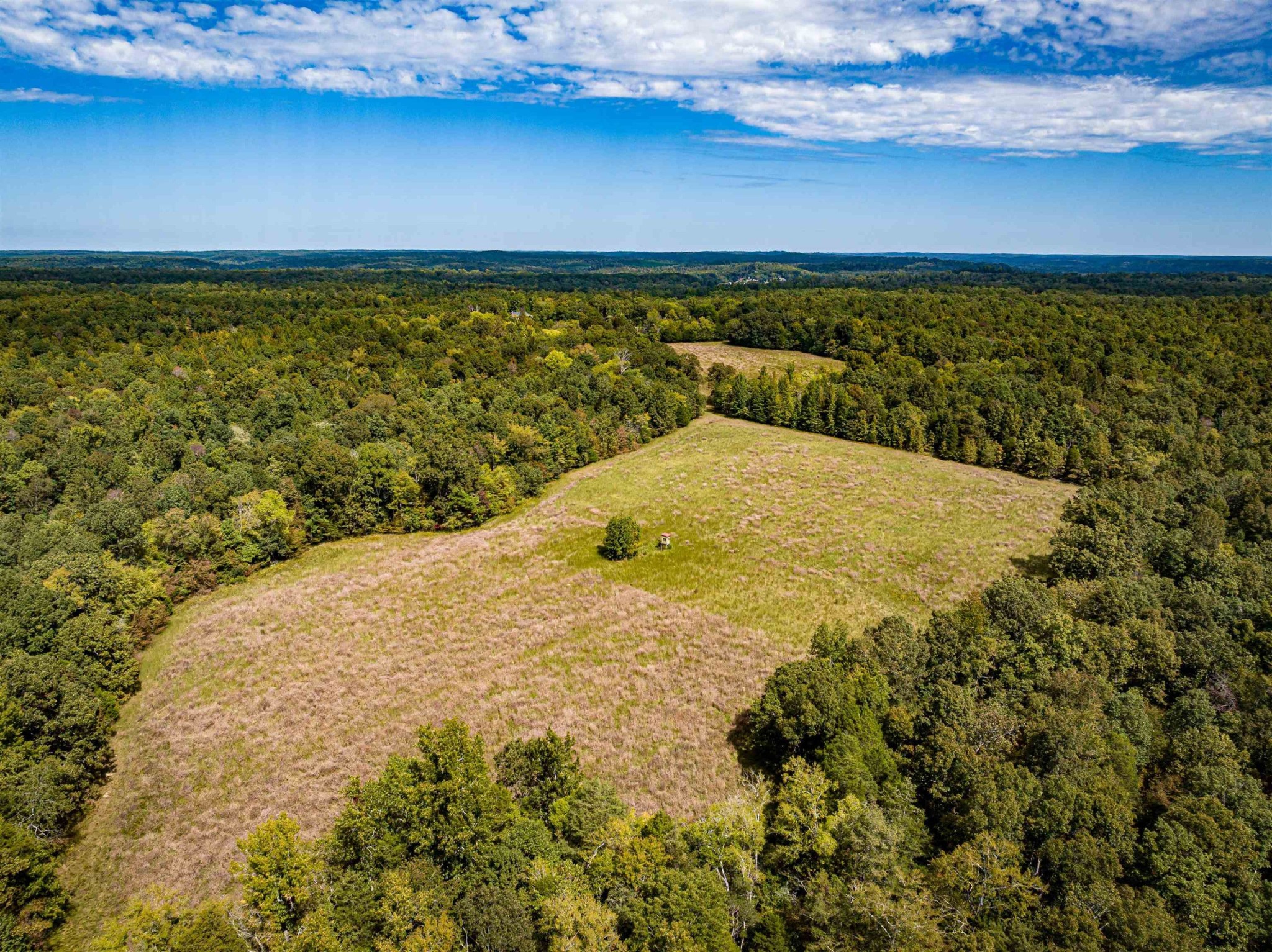 2642 Brodies Landing Road Parsons TN 38363