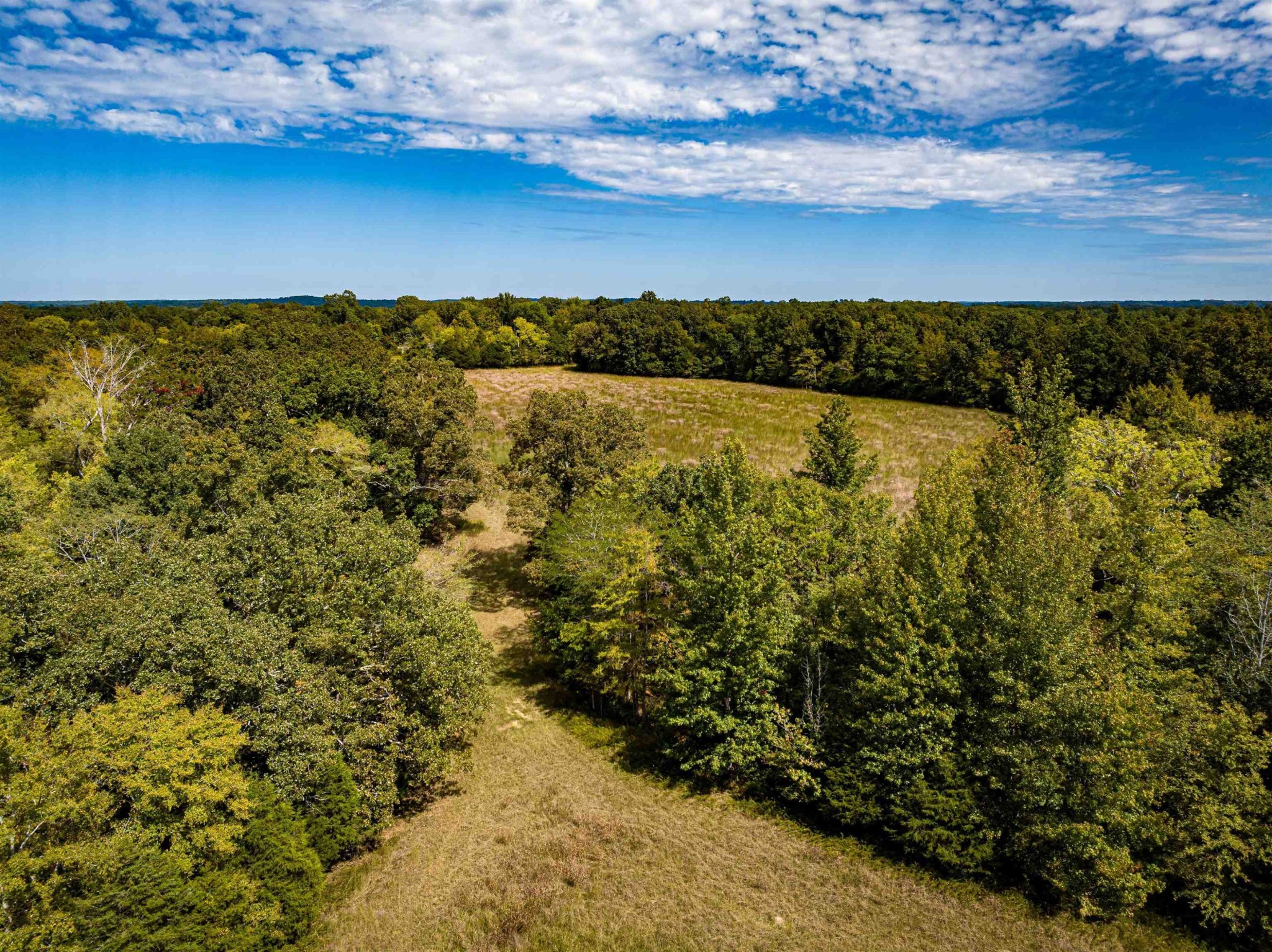 2642 Brodies Landing Road Parsons TN 38363