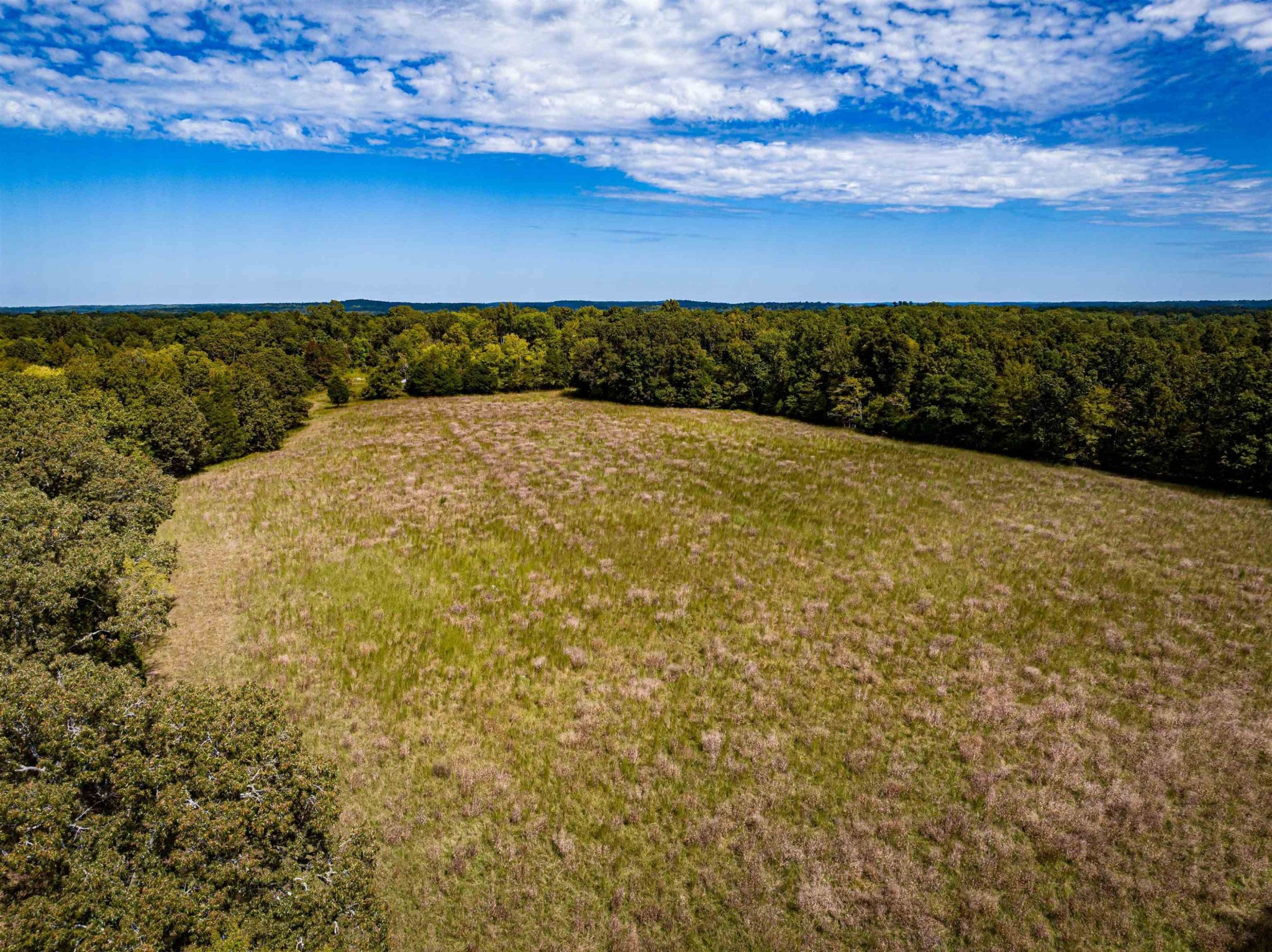 2642 Brodies Landing Road Parsons TN 38363